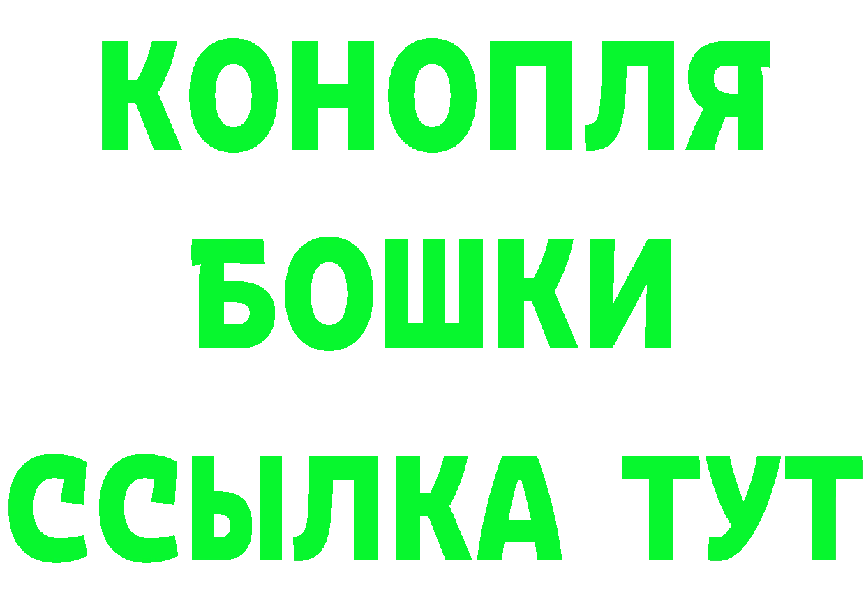 APVP СК КРИС как войти площадка МЕГА Камышлов